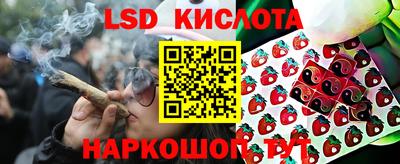 spice Кимры