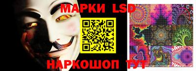 spice Кимры
