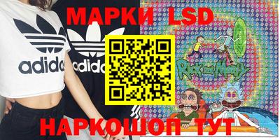эйфоретик Кингисепп