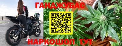 эйфоретик Кингисепп