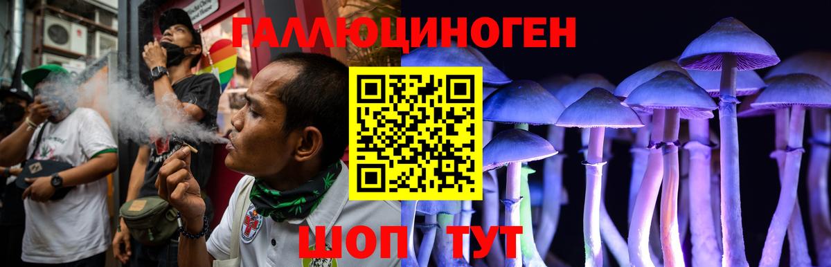 Галлюциногенные грибы Cubensis  Псилоцибиновые грибы Psilocybe  Геленджик  Вход с VPN 
